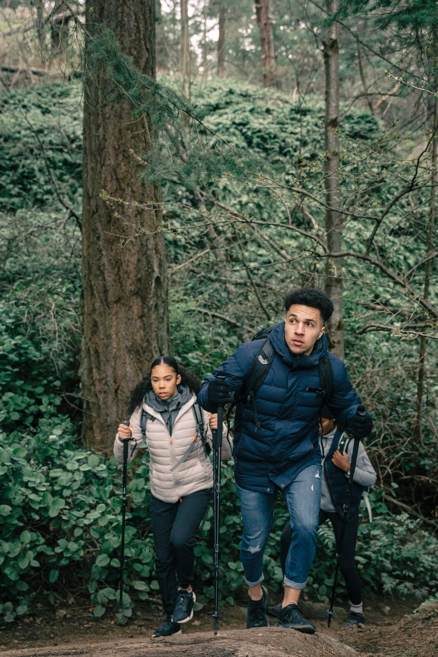people hiking in a forest